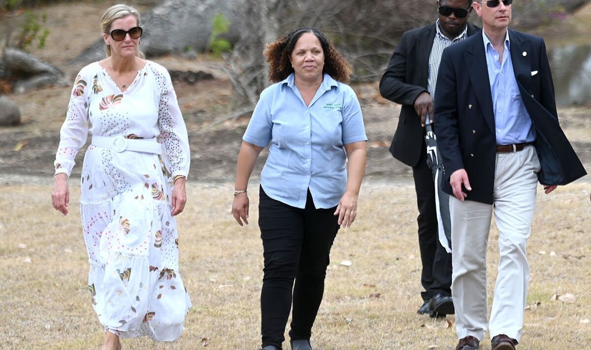 Sophie and Edward&rsquo;s &lsquo;warm welcome&rsquo; in St Lucia on Caribbean tour sparks royal fan frenzy